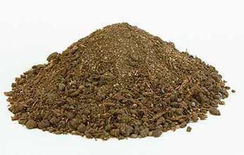 soil, earth soil, soil attar, soil perfume, earth soil attar, earth soil perfume