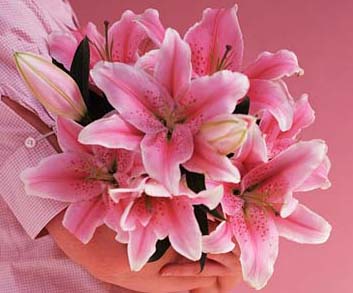 lily flower, lily, lily perfume